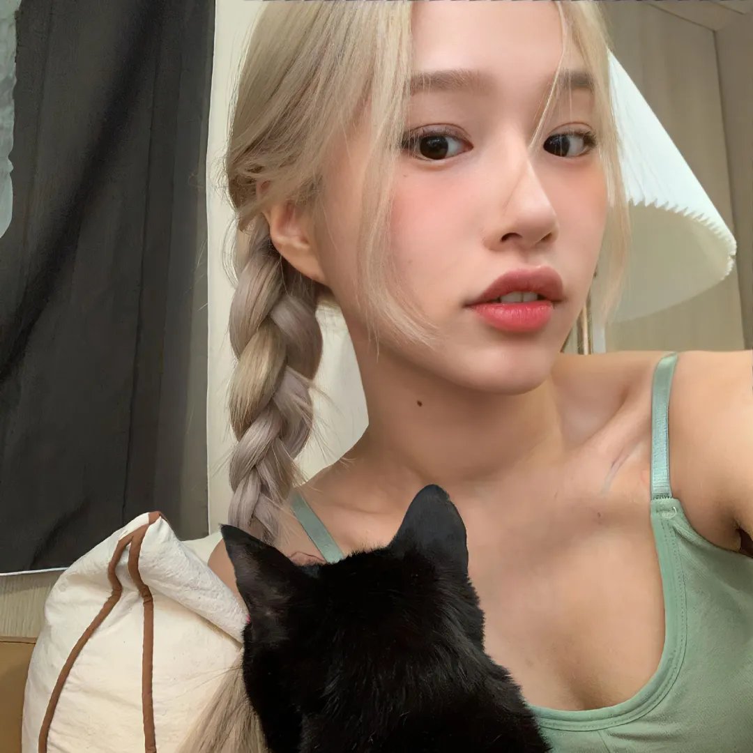 猫娘乐园